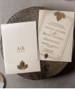 Wedding Davetiye 8429
